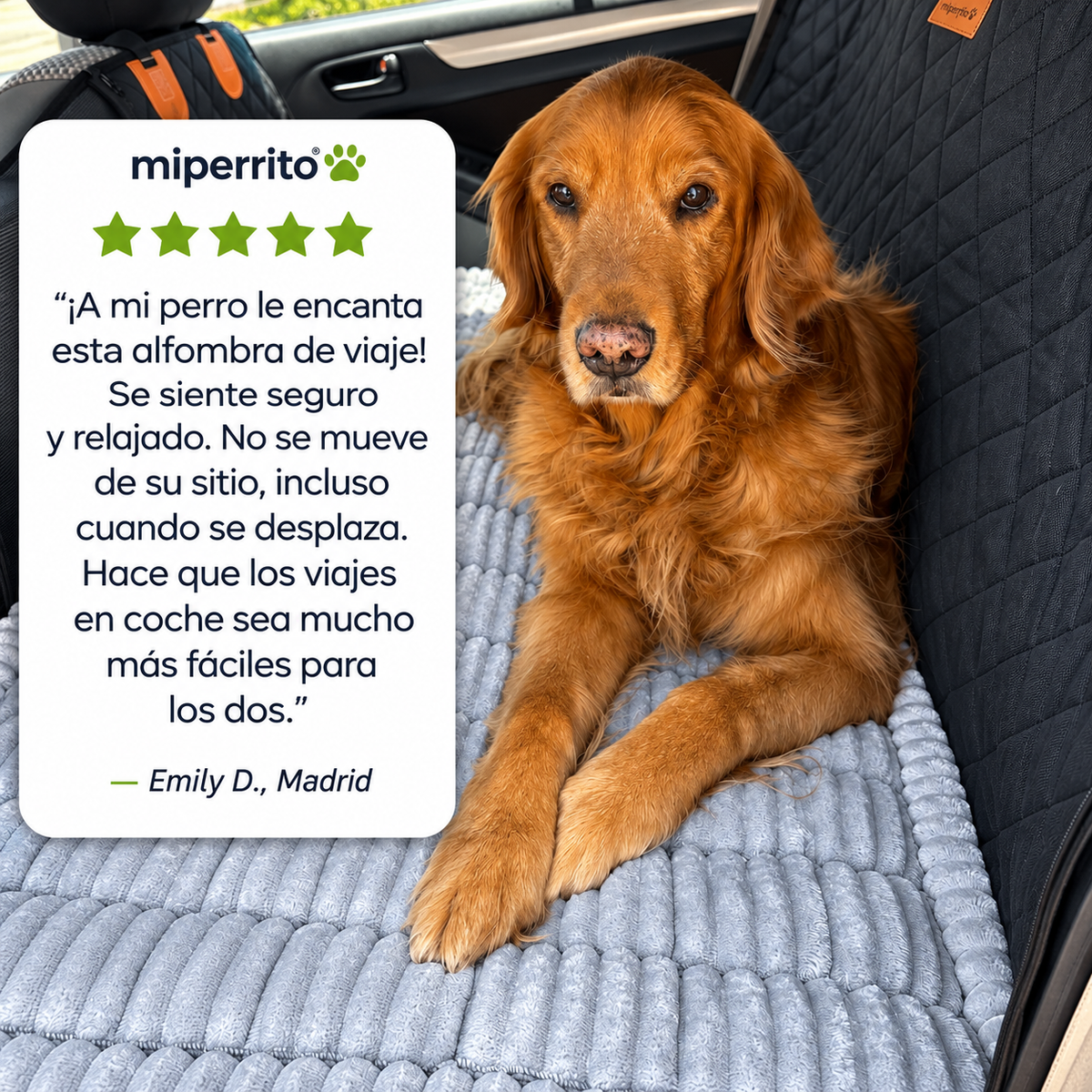 Cama para perro preparada para viajar en coche